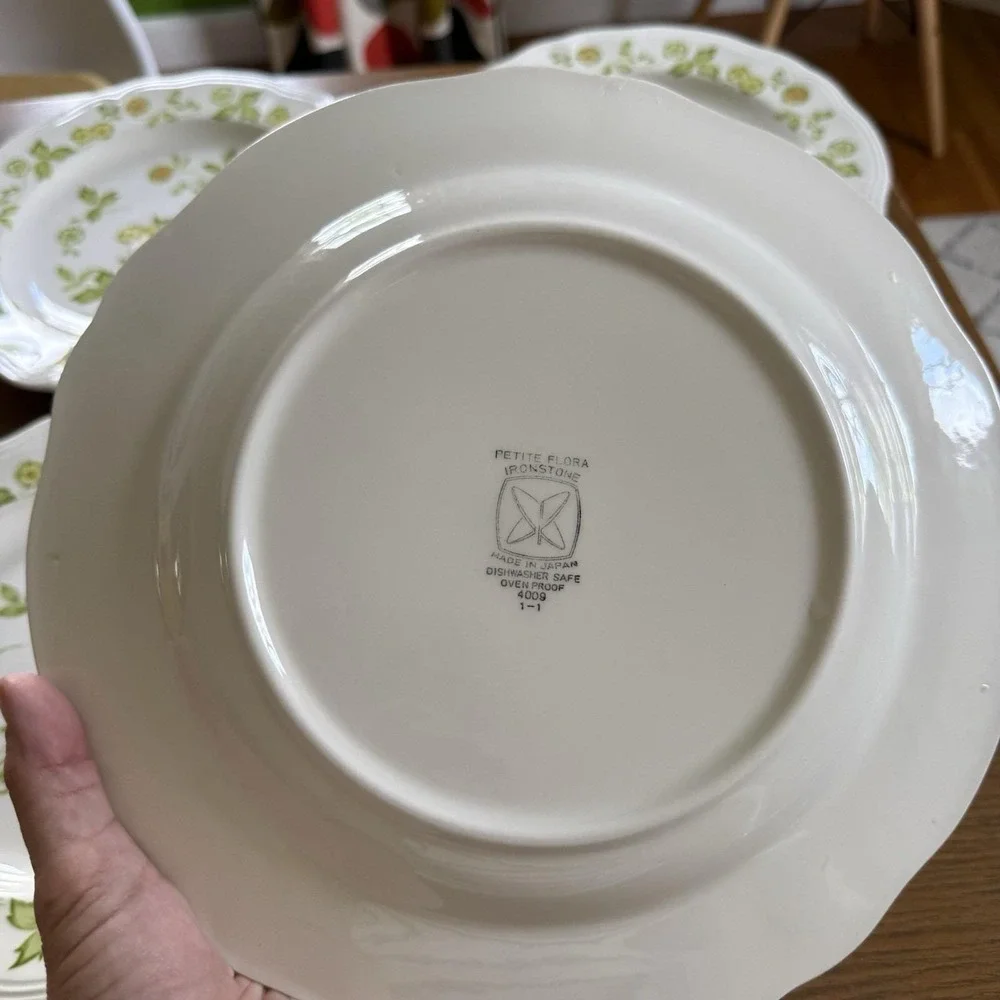 Vintage Ironstone 1970's Sears Petite Flora 10.5